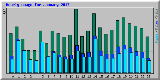 Hourly usage for January 2017